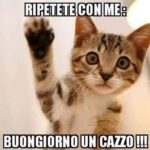 Princess alias Veronico Princess alias Veronico
